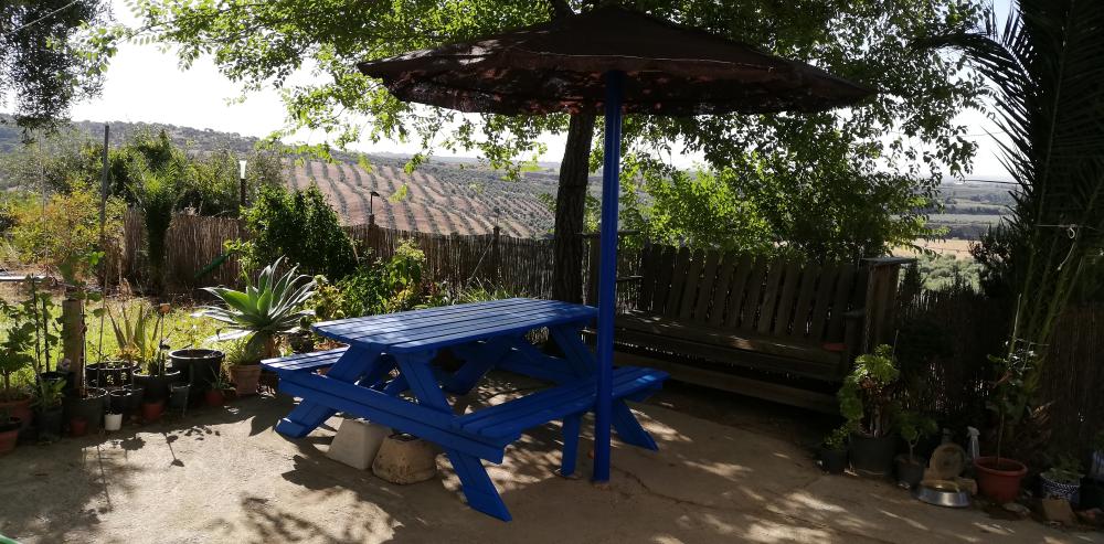  te koop boerderij Villanueva Del Río Y Minas Vega Del Guadalquivir 29