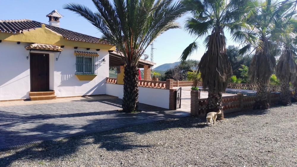  te koop boerderij Monda Sierra De Las Nieves 31
