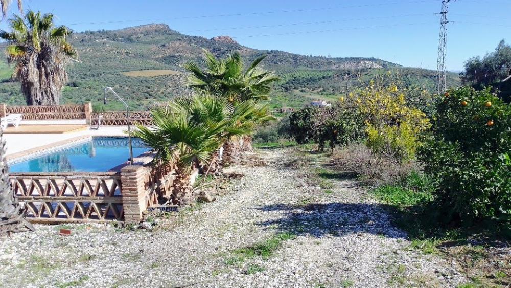  te koop boerderij Monda Sierra De Las Nieves 38