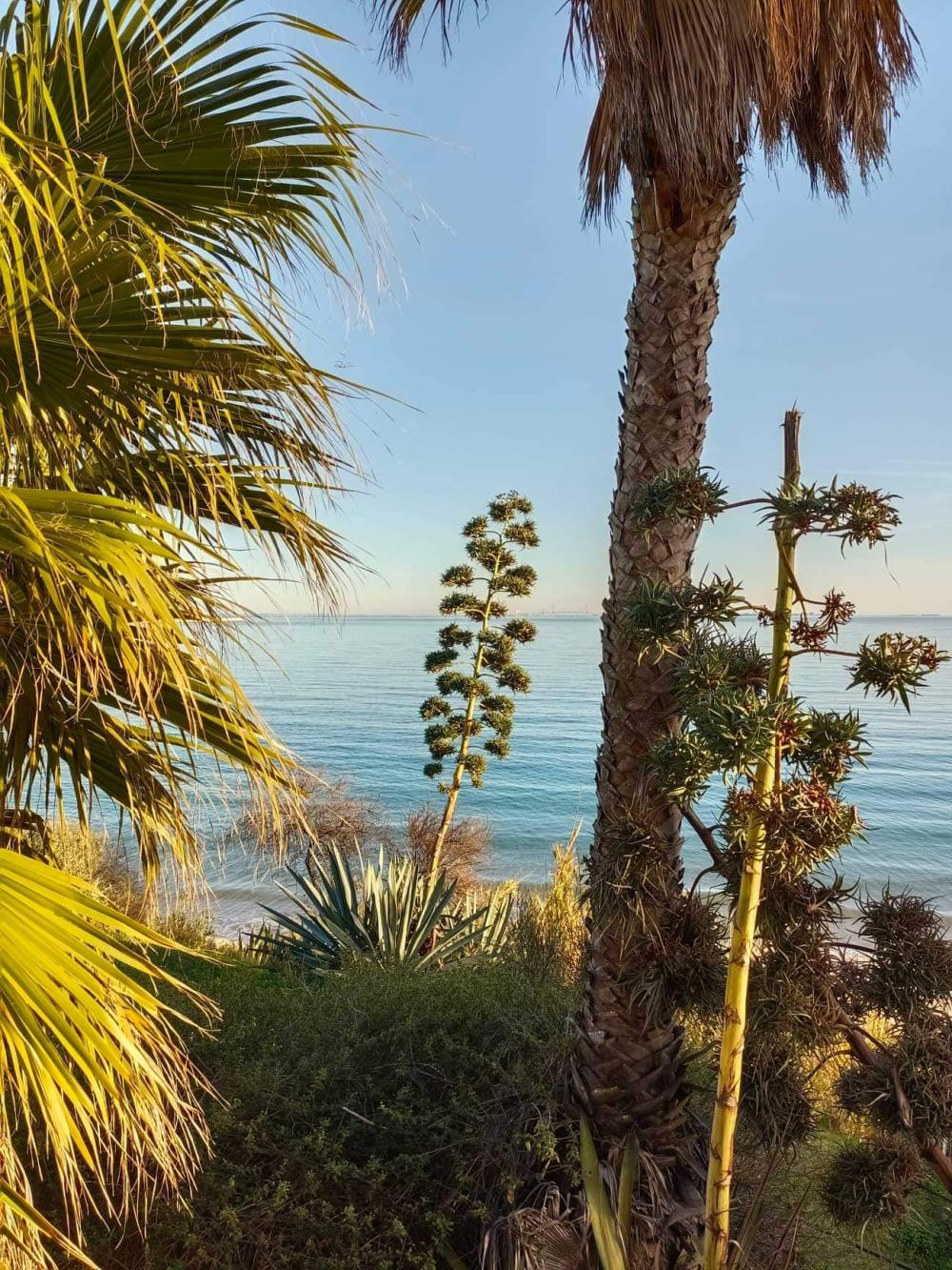  te koop appartement Jardin De Almadrava Costa Noroeste 4
