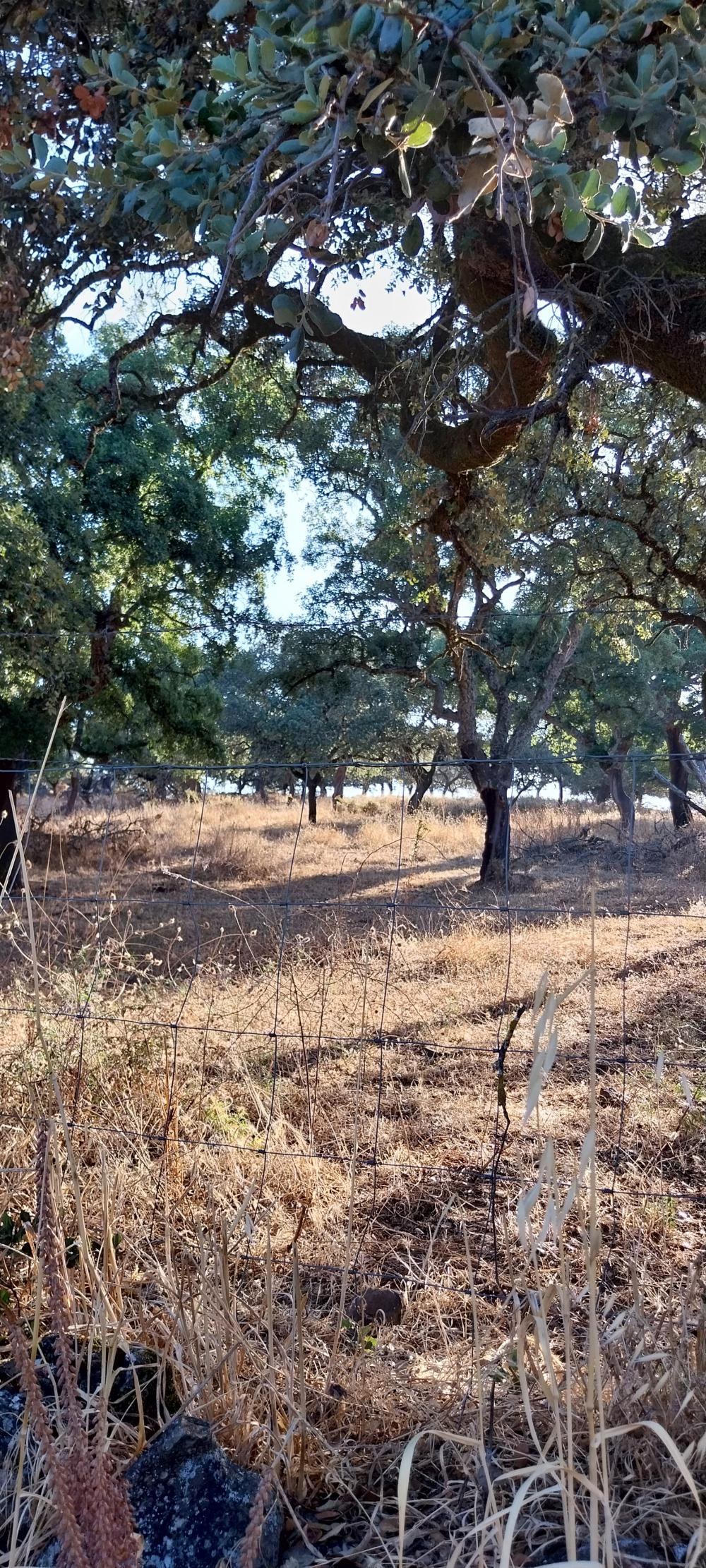  te koop boerderij Valdezufre Sierra De Huelva 2