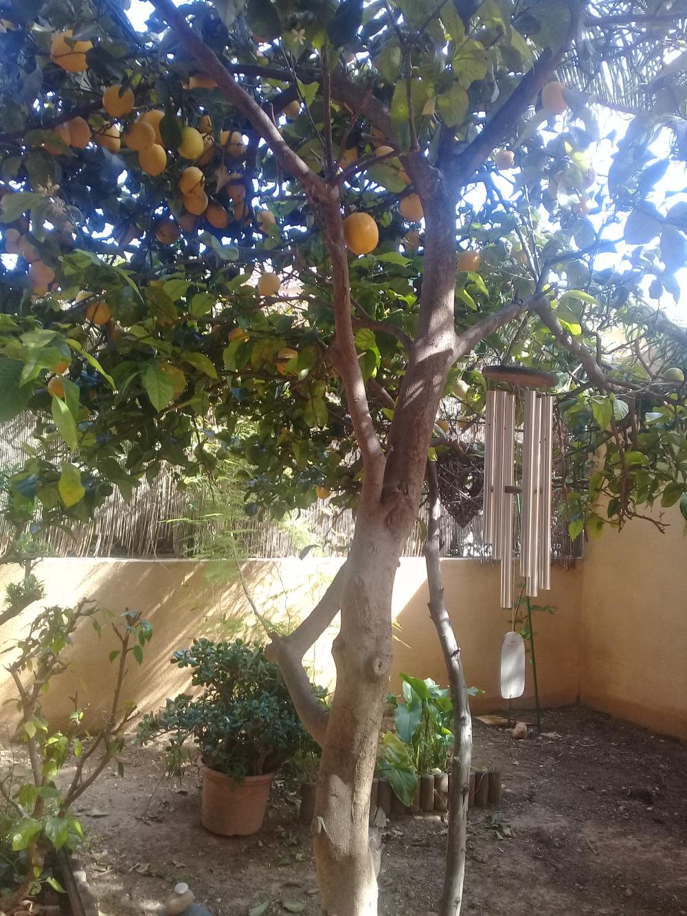  te koop villa Roda De Barà Tarragonès 16