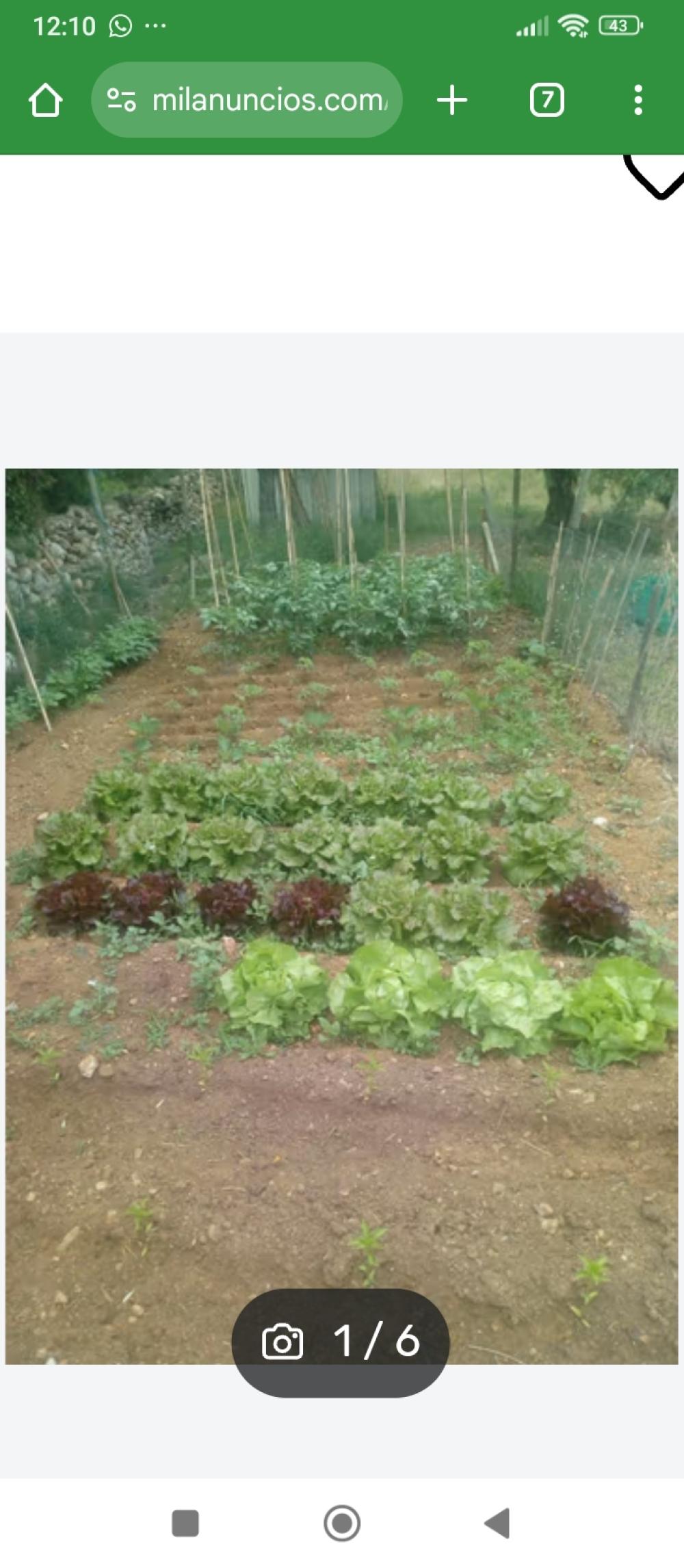  te koop boerderij Mont-Roig Del Camp Baix Camp 4