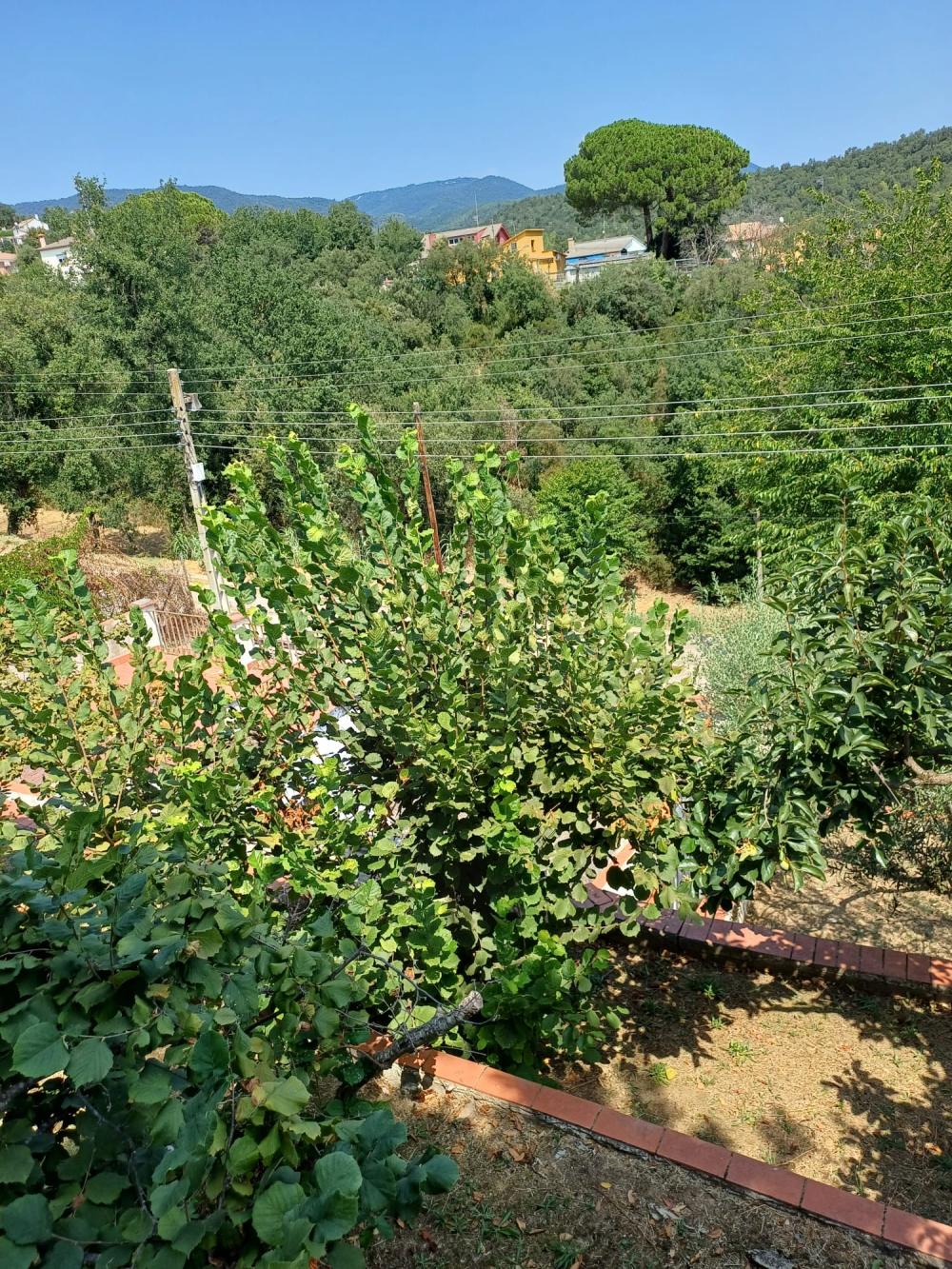  te koop huis Riells I Viabrea Selva 11