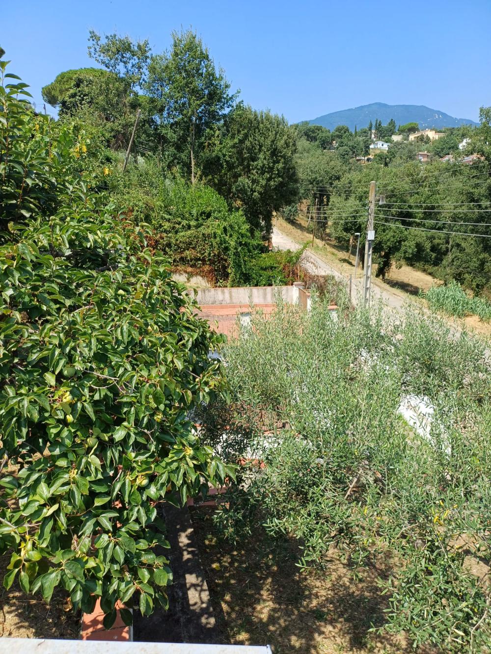  te koop huis Riells I Viabrea Selva 10