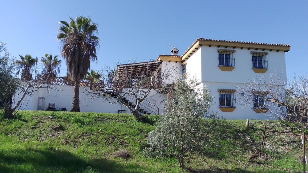  te koop boerderij Monda Sierra De Las Nieves 30