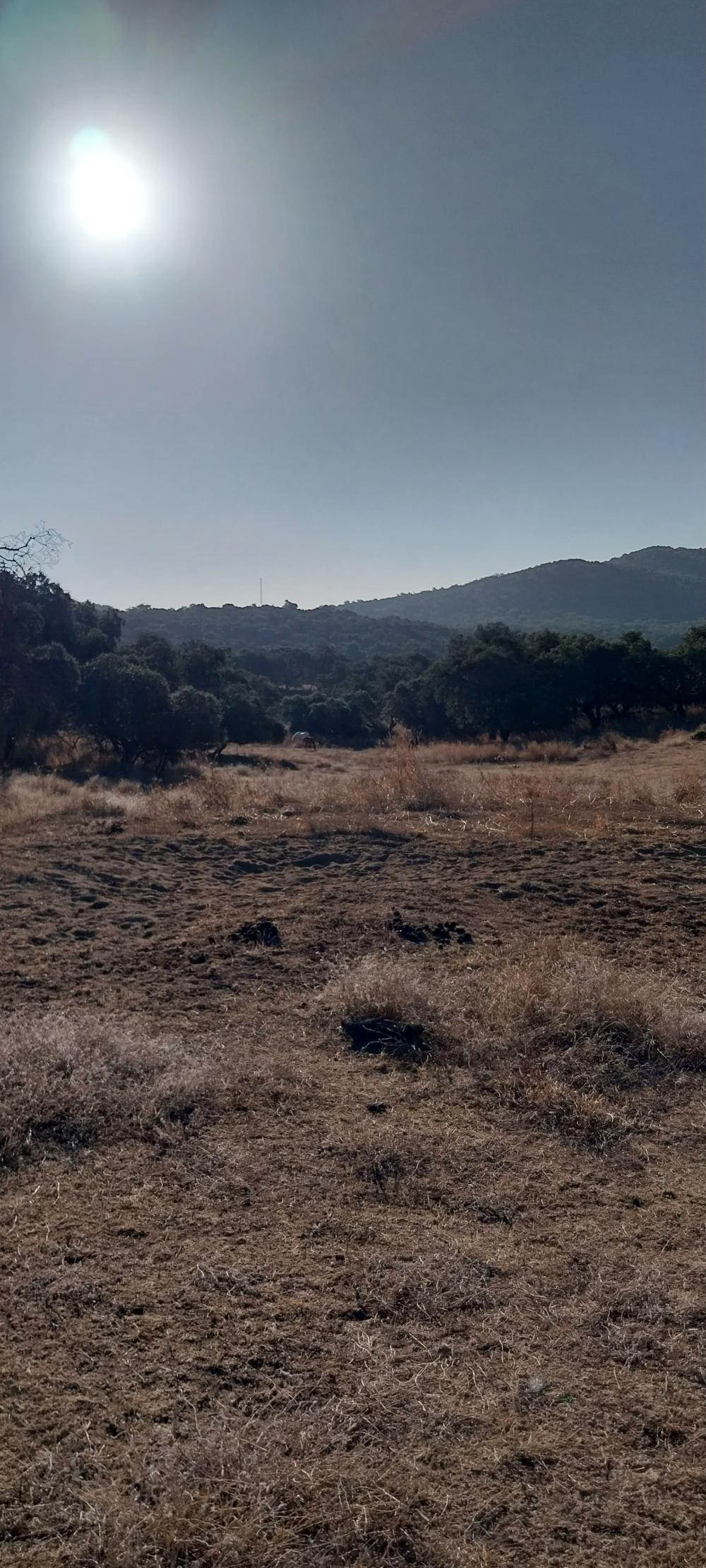  te koop boerderij Valdezufre Sierra De Huelva 4