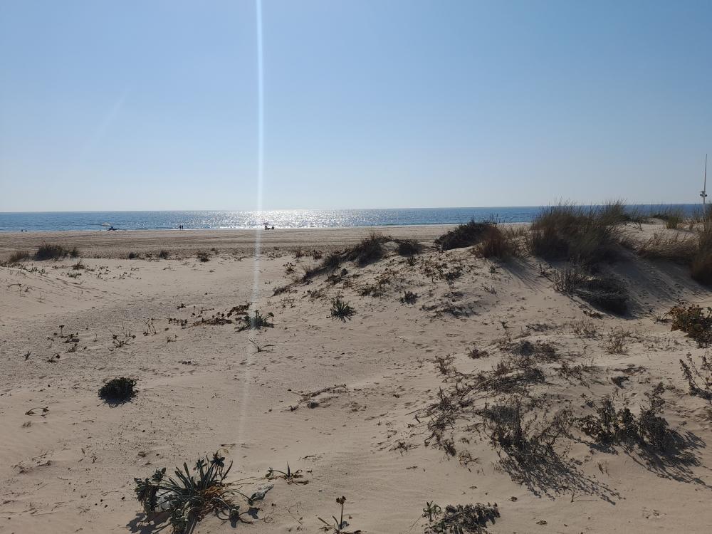  te koop duplex Costa Ballena Costa Noroeste 24