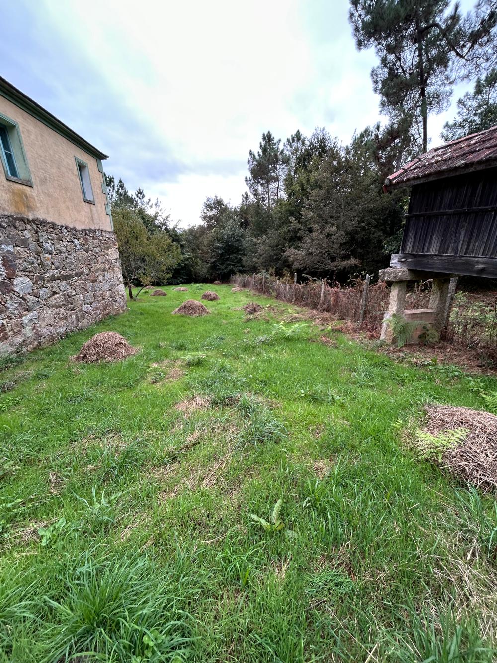  te koop huis A Teixeira Terra Da Celanova 9