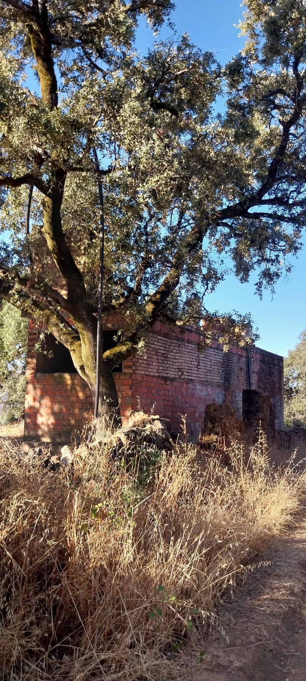  te koop boerderij Valdezufre Sierra De Huelva 6