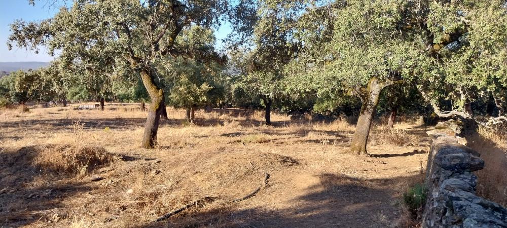  te koop boerderij Valdezufre Sierra De Huelva 7