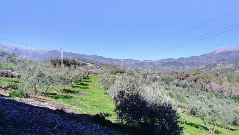  te koop boerderij Monda Sierra De Las Nieves 24