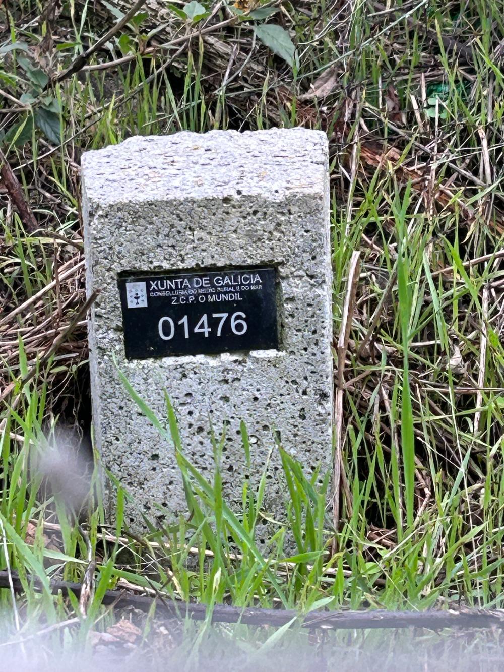  te koop huis A Teixeira Terra Da Celanova 2