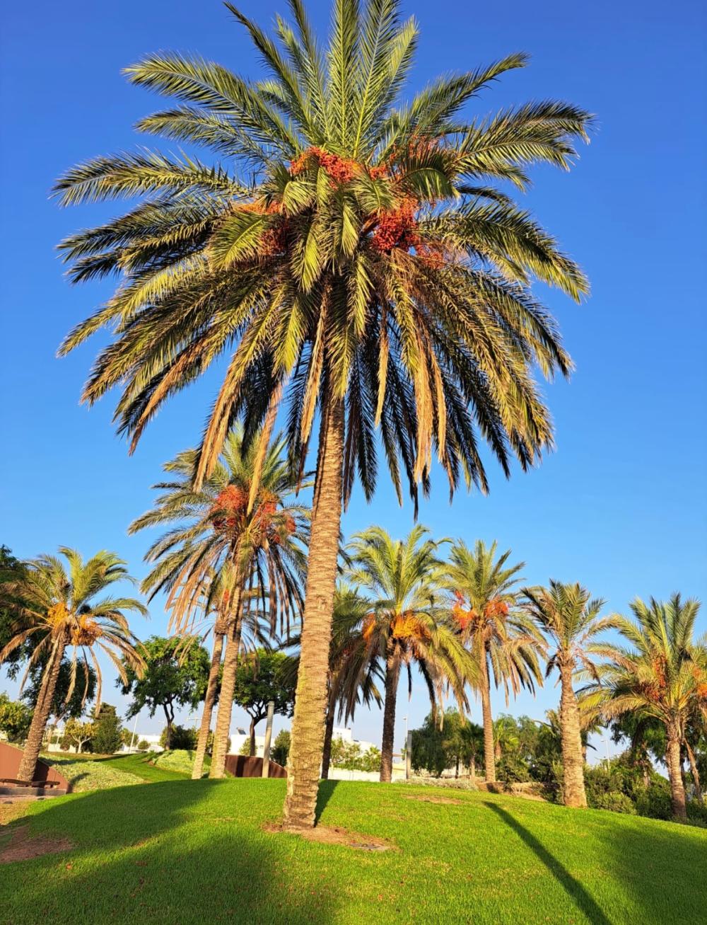  te koop villa Retamar Comarca Metropolitana De Almería 31