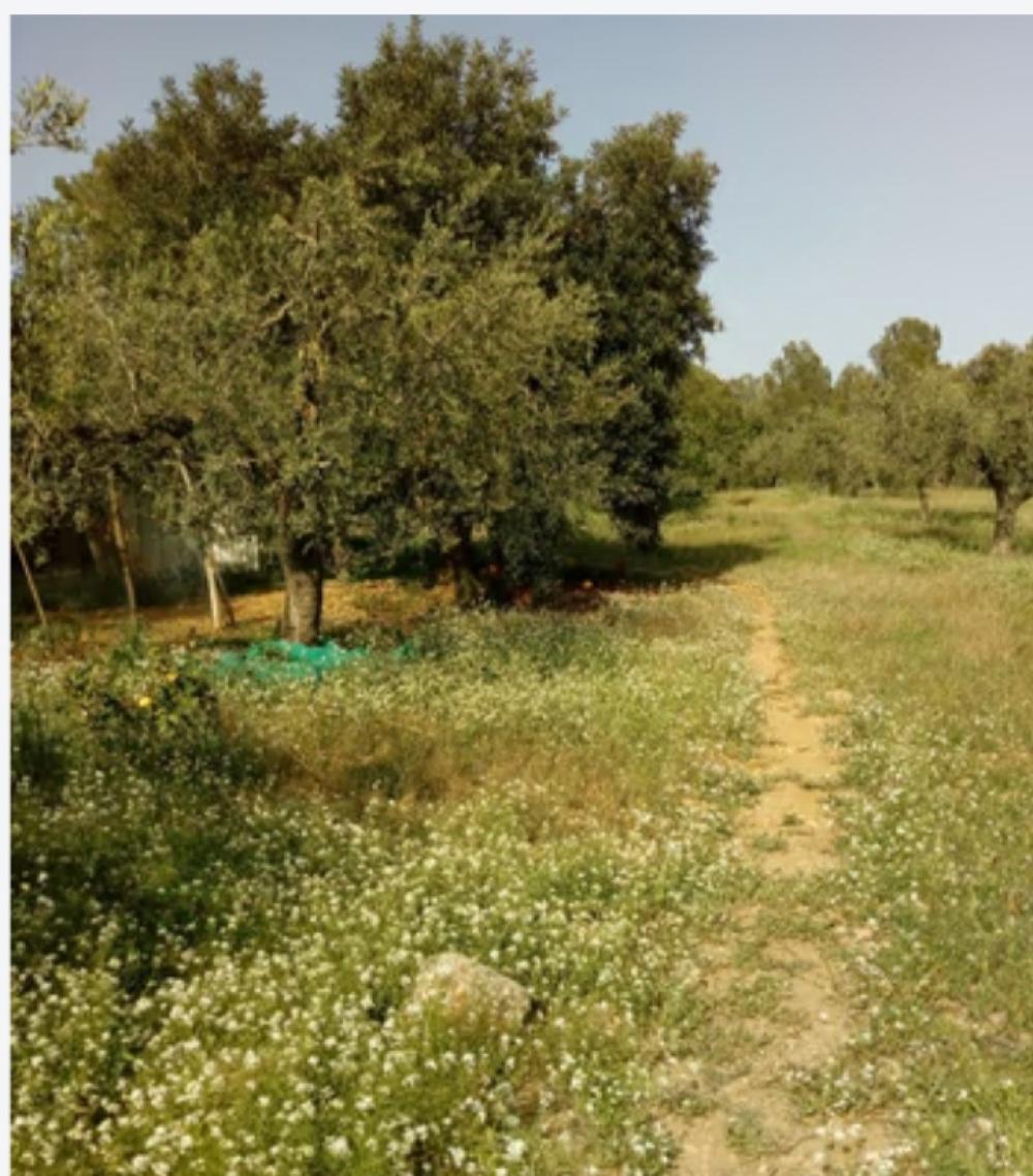  te koop boerderij Mont-Roig Del Camp Baix Camp 2