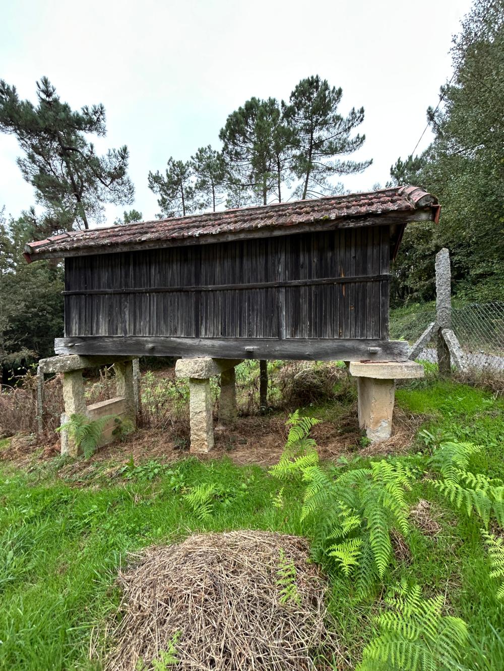  te koop huis A Teixeira Terra Da Celanova 8