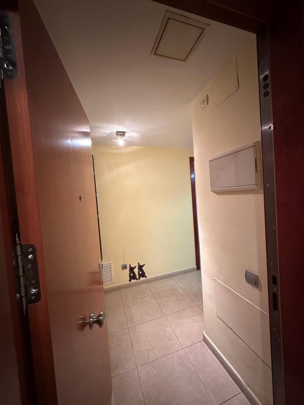  te koop appartement Deltebre Baix Ebre 5