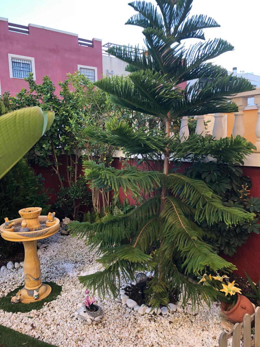  te koop benedenwoning Orihuela Costa Baix Segura 10