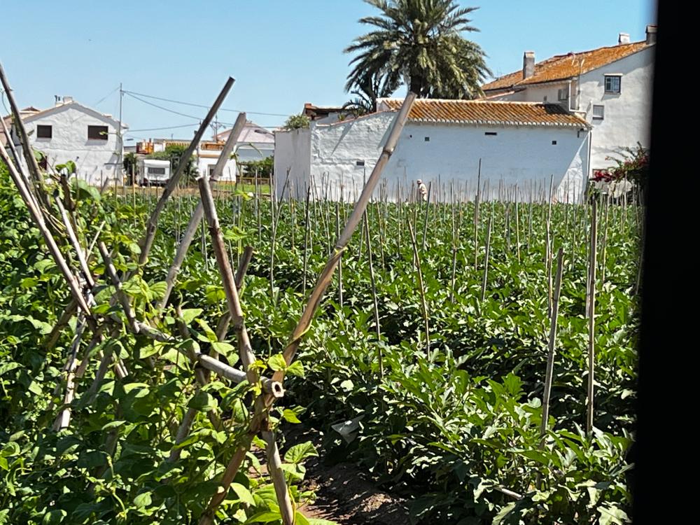  te koop boerderij Barrio Roca Horta Nord 1