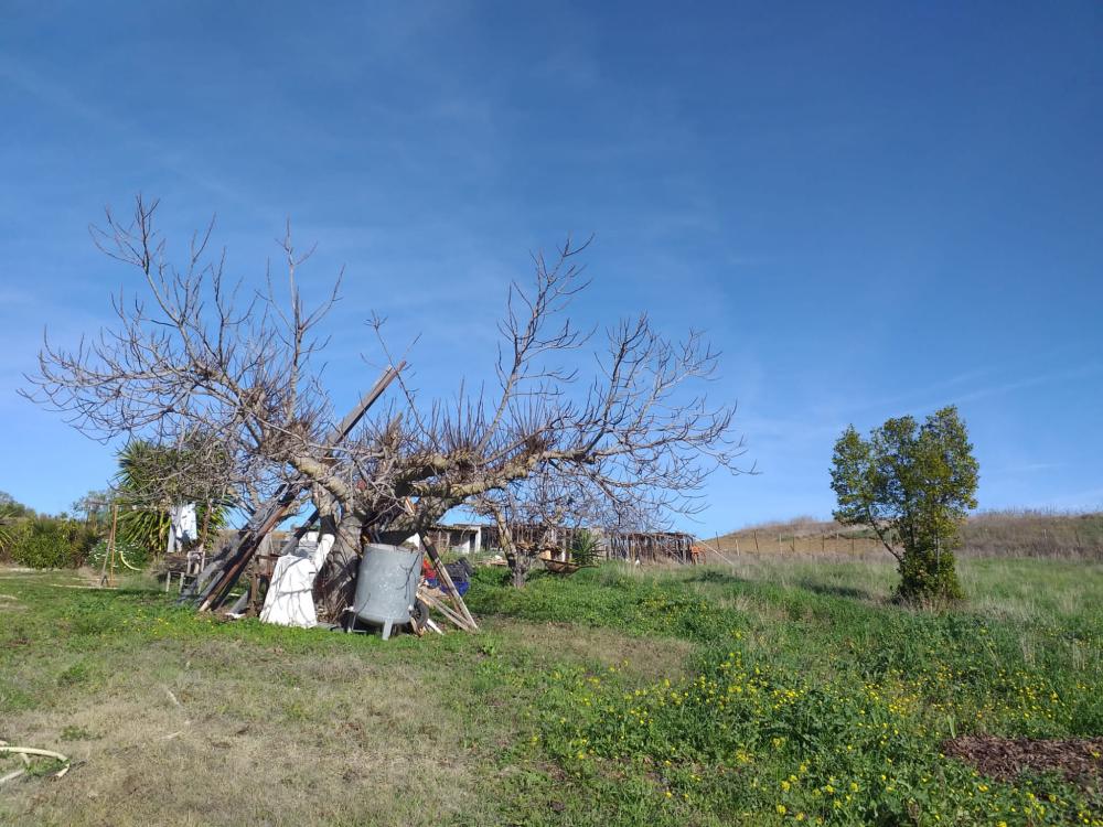  te koop boerderij Arriate Serranía De Ronda 11
