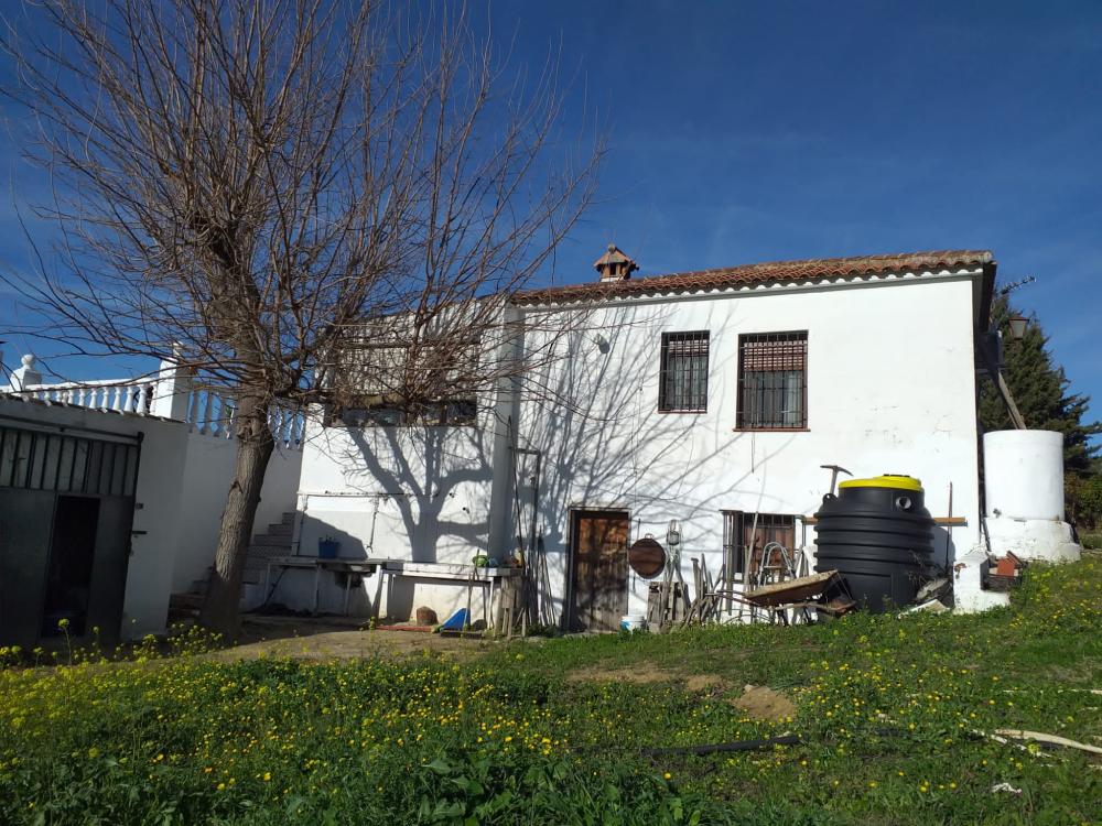  te koop boerderij Arriate Serranía De Ronda 4