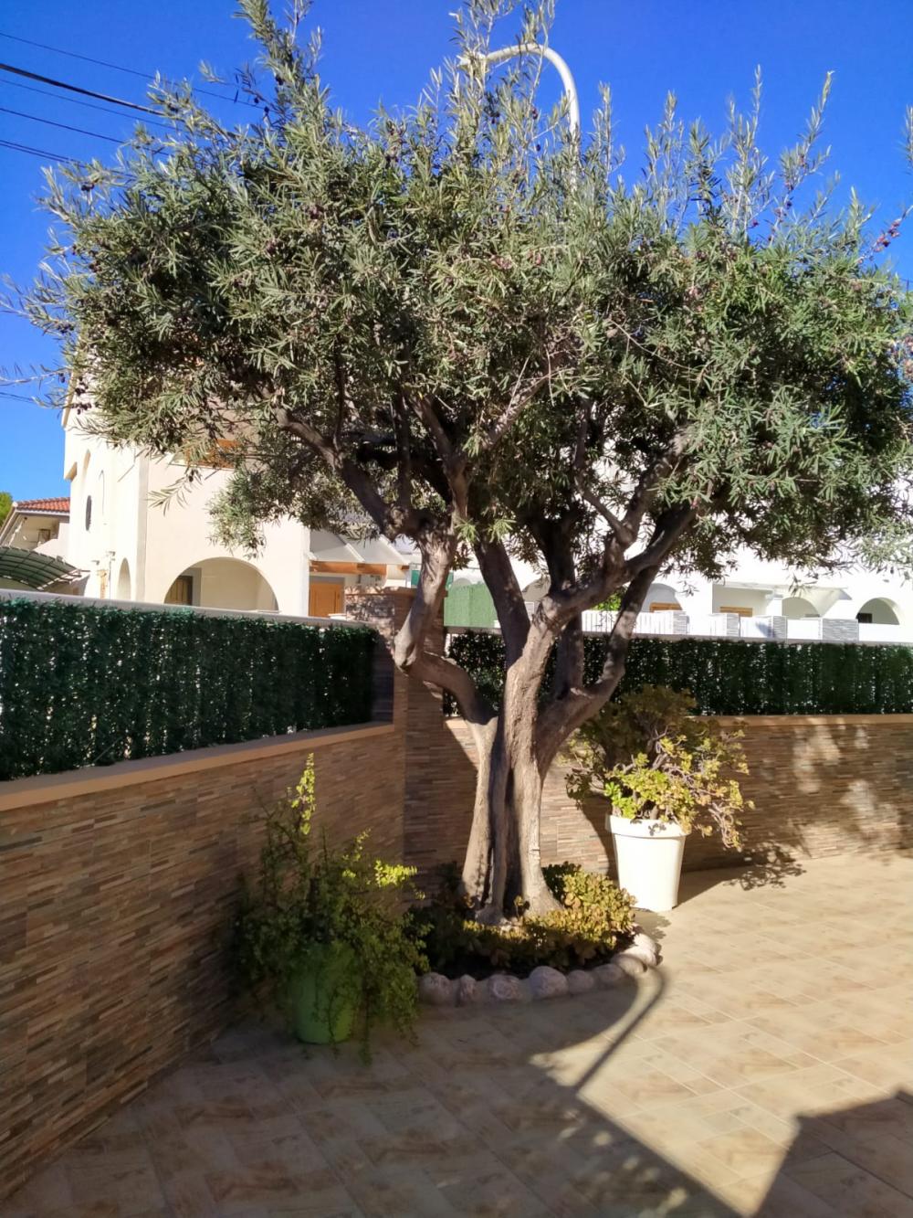  te koop rijtjeshuis Santiago De La Ribera Mar Menor 10