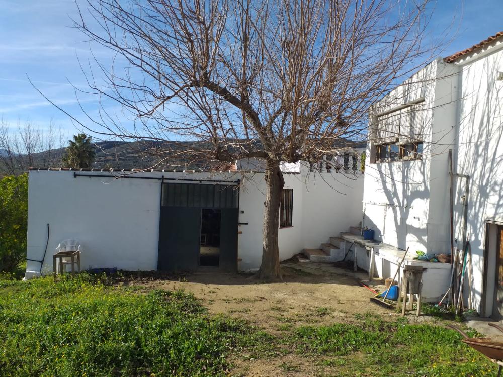  te koop boerderij Arriate Serranía De Ronda 5