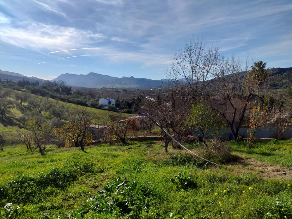  te koop boerderij Arriate Serranía De Ronda 6