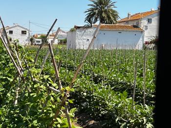 Barrio Roca Horta Nord boerderij foto 6078454