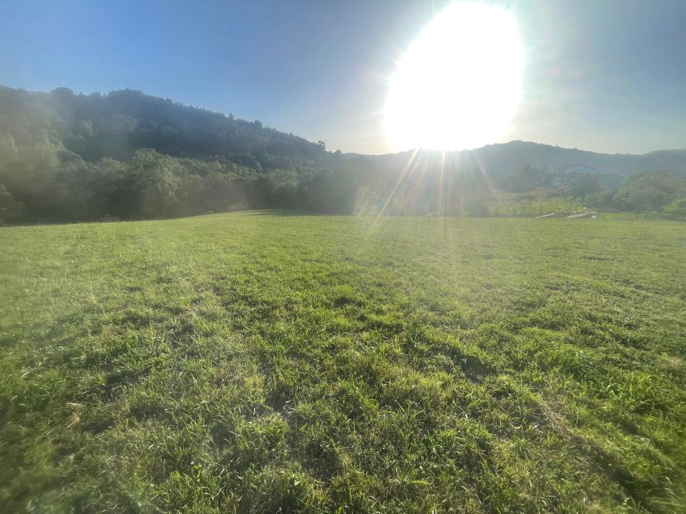  te koop boerderij Selorio Gijón 3