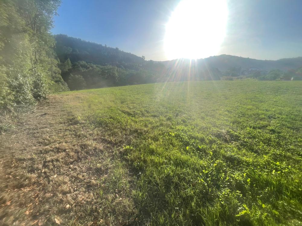  te koop boerderij Selorio Gijón 2