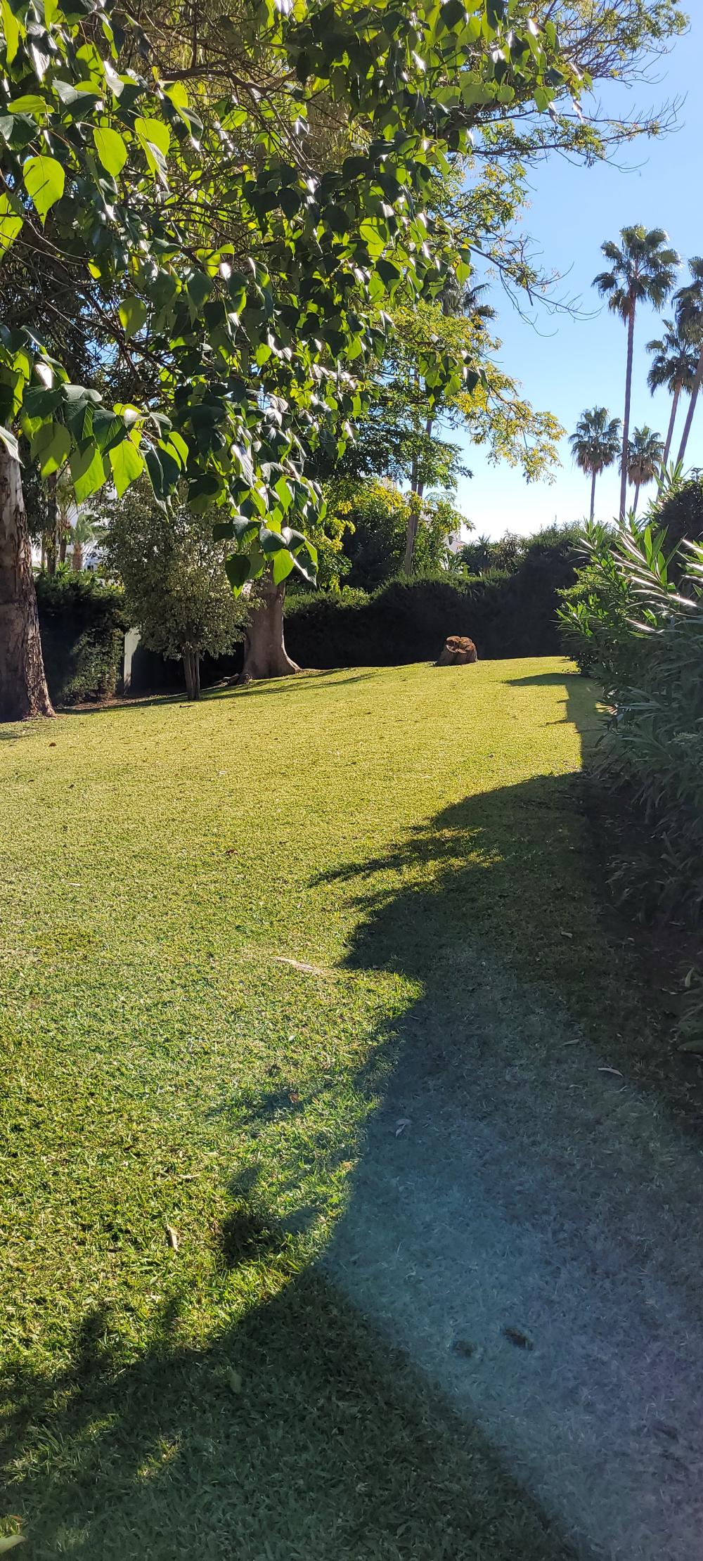  te koop rijtjeshuis Nueva Andalucía Costa Del Sol Occidental 28