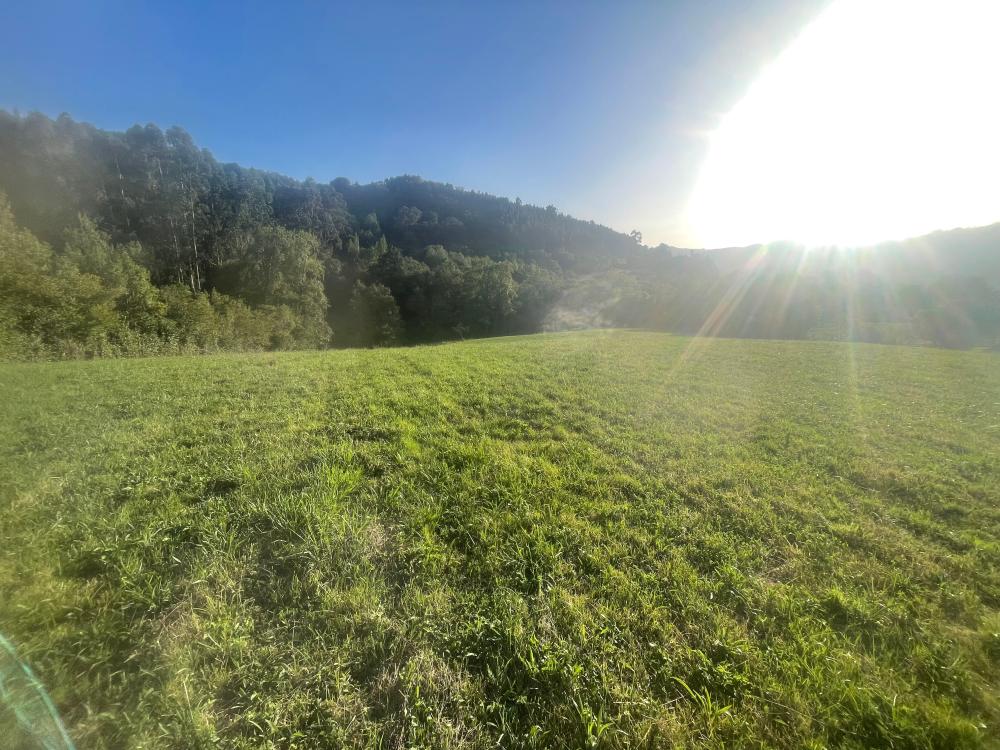  te koop boerderij Selorio Gijón 1