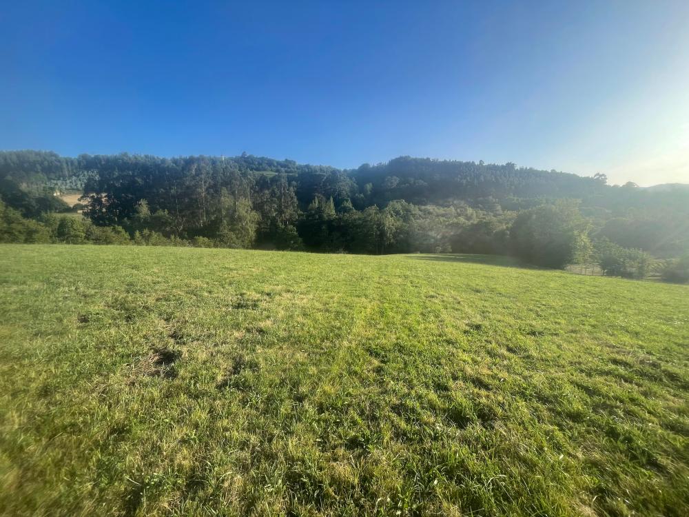  te koop boerderij Selorio Gijón 4