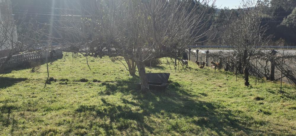  te koop huis Campo Do Hospital Ferrol 26