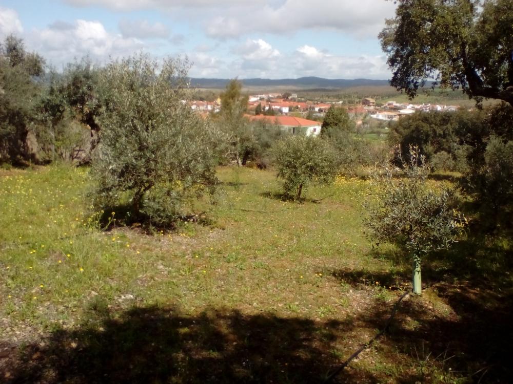  te koop huis La Codosera Alburquerque 9