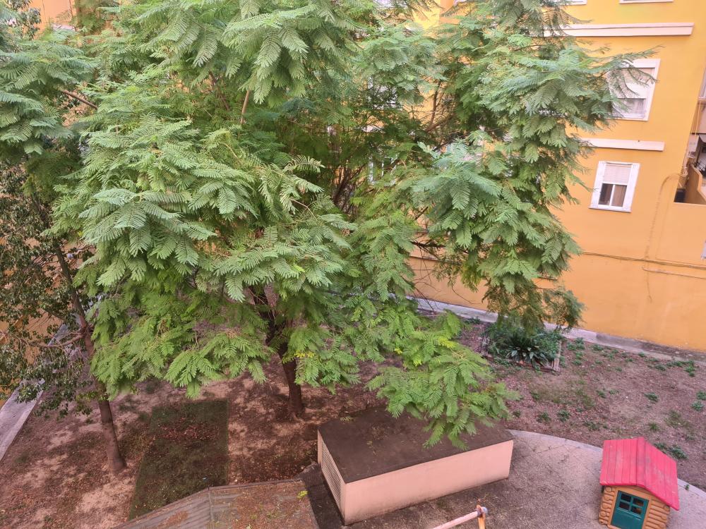  te koop appartement L'eixample Russafa Valencia 11