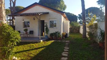 Chiclana De La Frontera Bahía De Cádiz boerderij foto 5544207