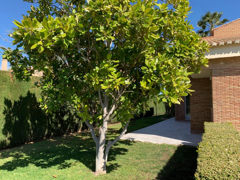  te koop villa San Antonio De Benagéber Camp De Túria 91