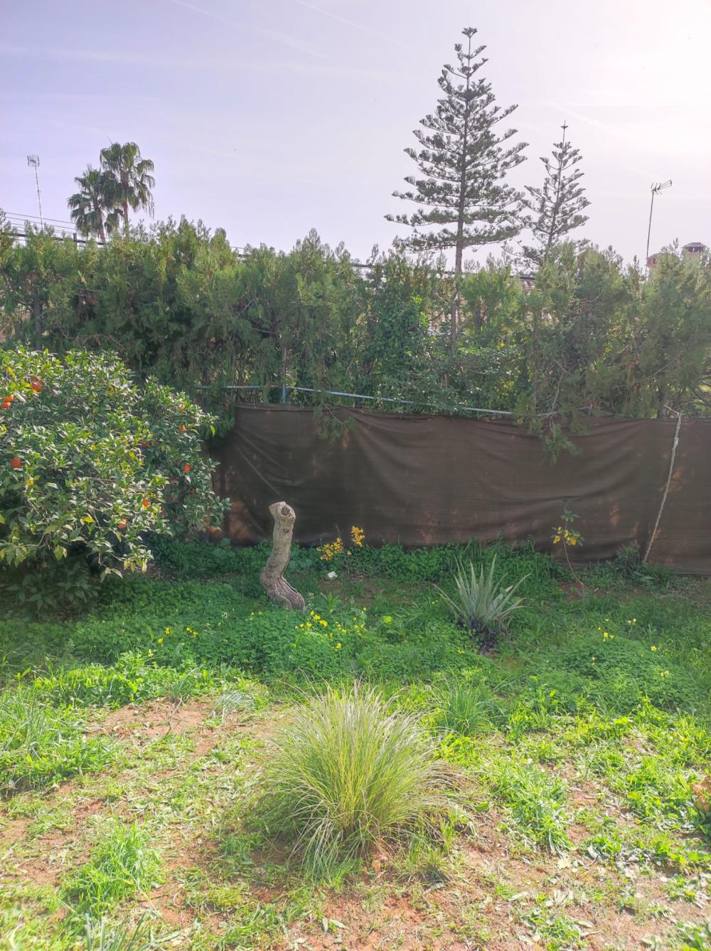  te koop villa Alcalá De Guadaira Metropolitana De Sevilla 19