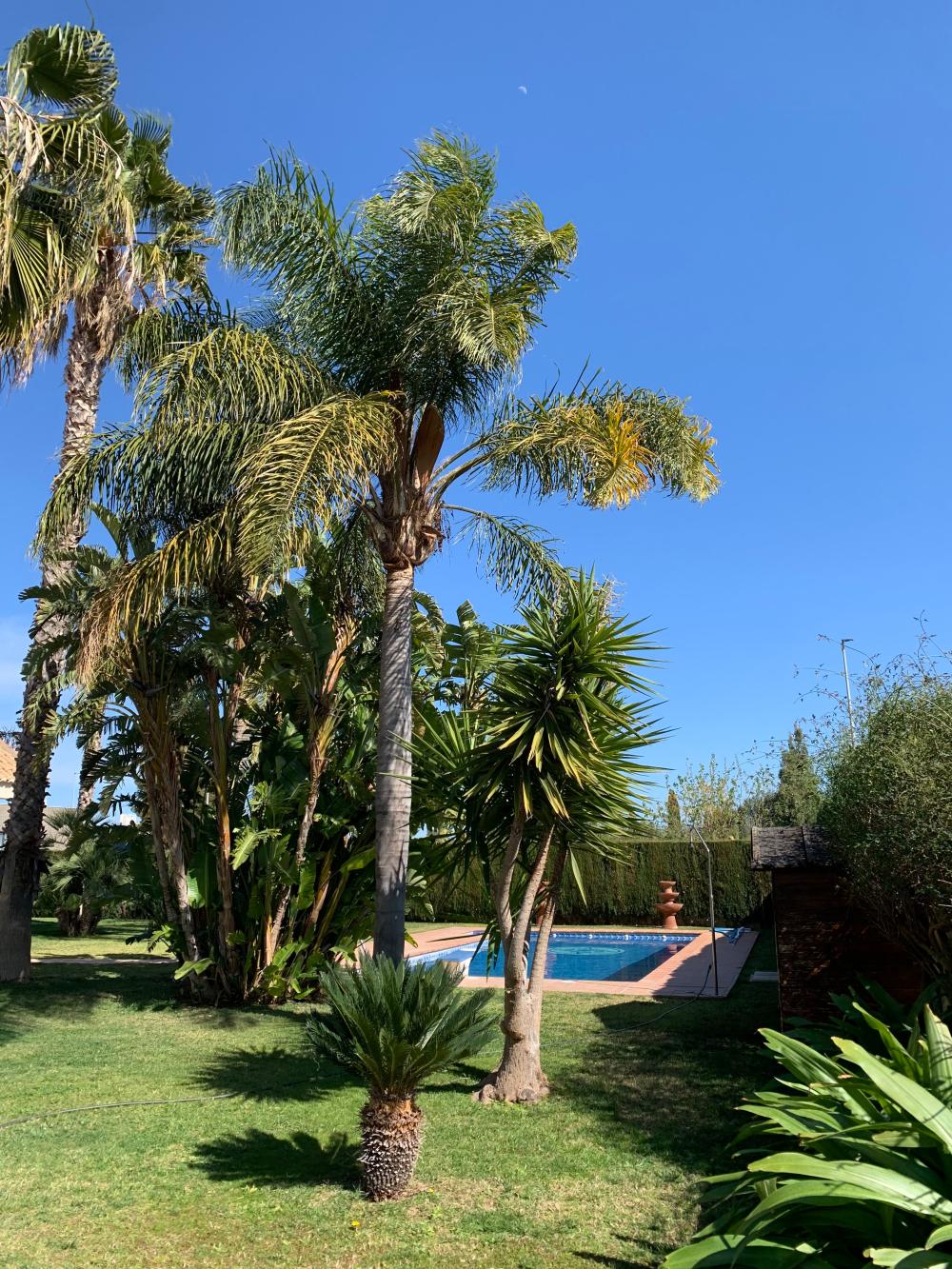  te koop villa San Antonio De Benagéber Camp De Túria 3