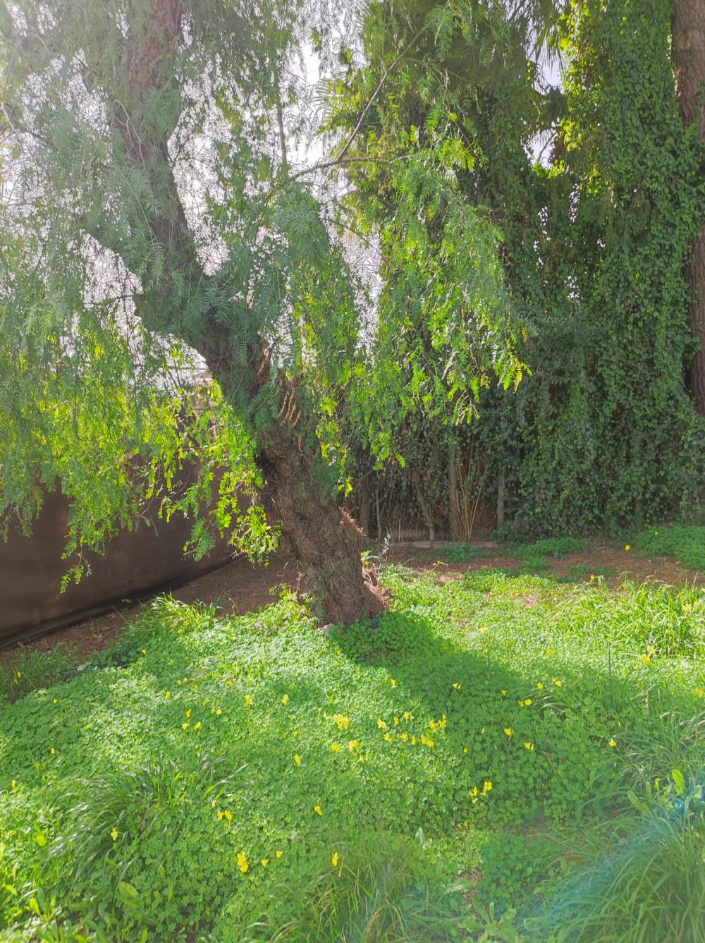  te koop villa Alcalá De Guadaira Metropolitana De Sevilla 3