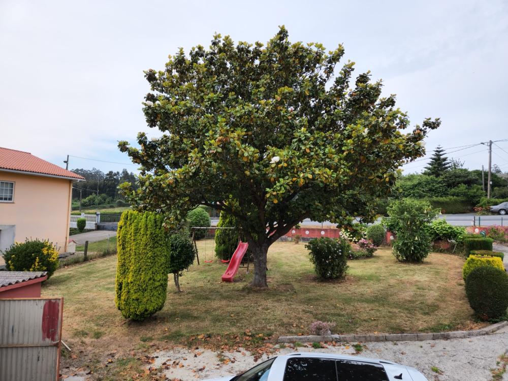  te koop huis Cedeira Ferrol 6