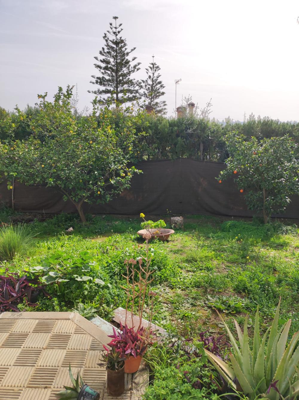  te koop villa Alcalá De Guadaira Metropolitana De Sevilla 9