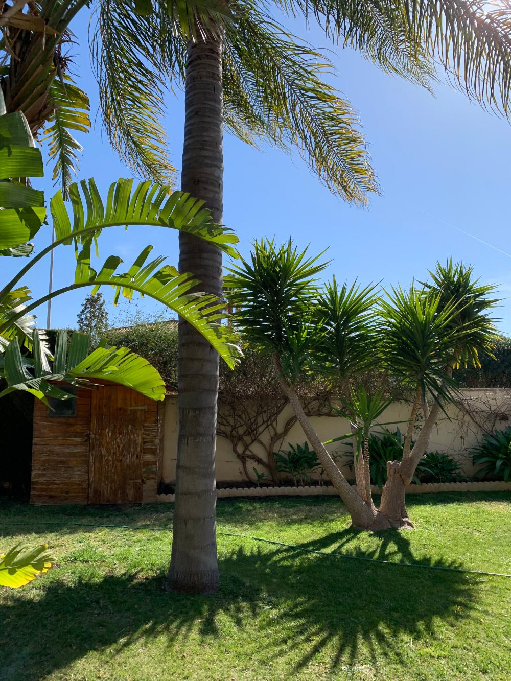  te koop villa San Antonio De Benagéber Camp De Túria 127
