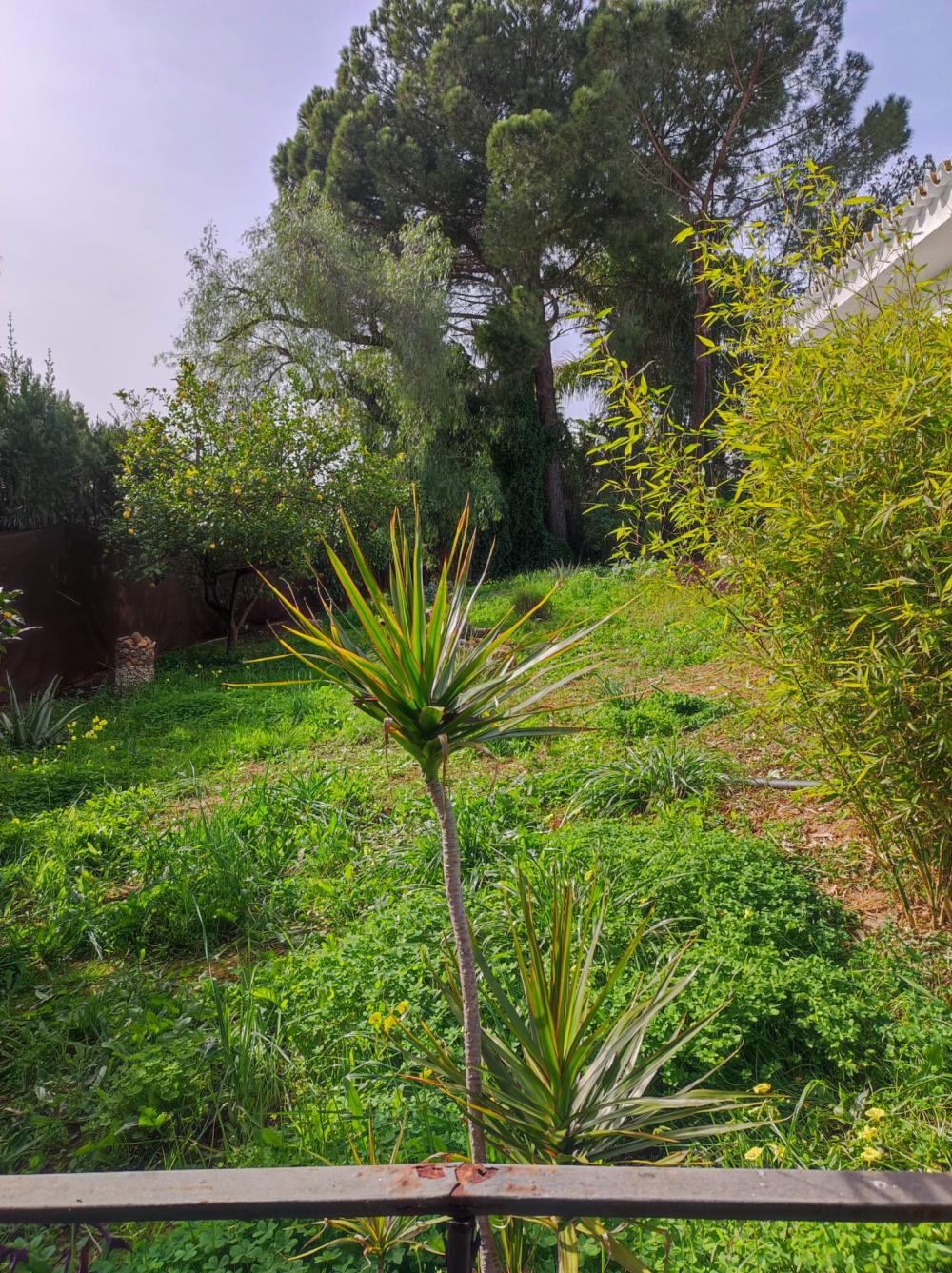  te koop villa Alcalá De Guadaira Metropolitana De Sevilla 4