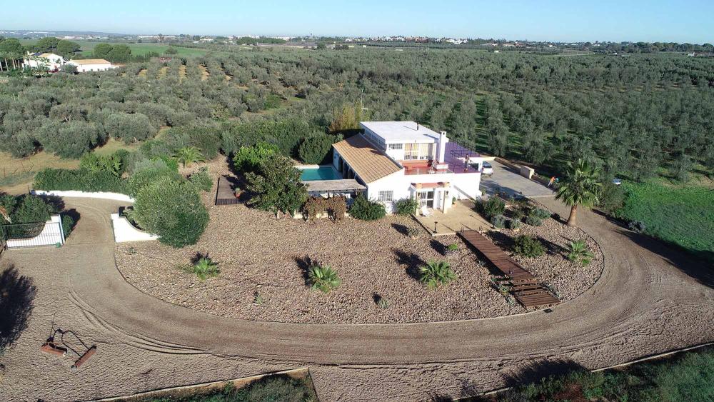  te koop boerderij Aznalcázar Aljarafe 22