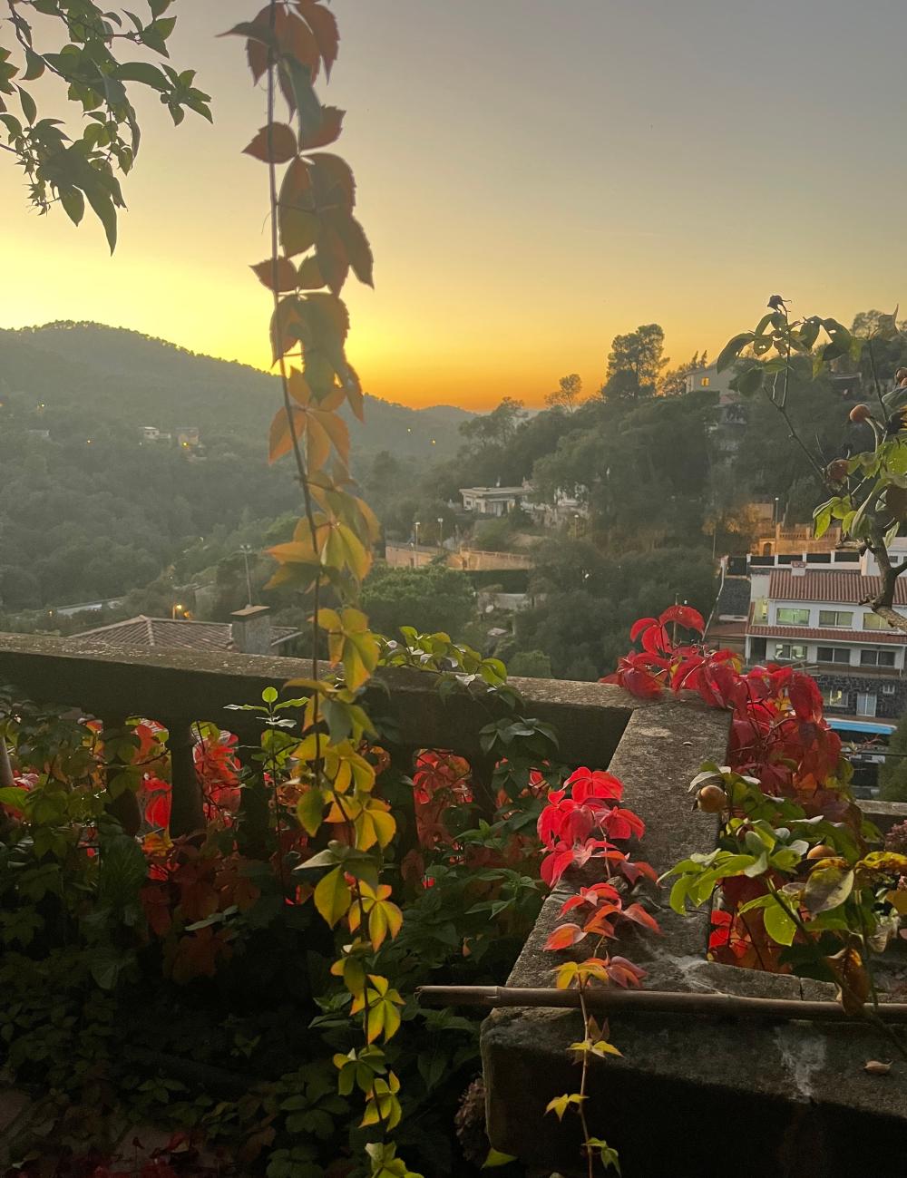  te koop huis Sarrià-Sant Gervasi-Vallvidrera-Tibidabo-Les Planes Barcelonès 30