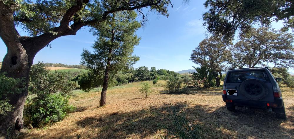  te koop boerderij Arcos De La Frontera Sierra De Cádiz 39