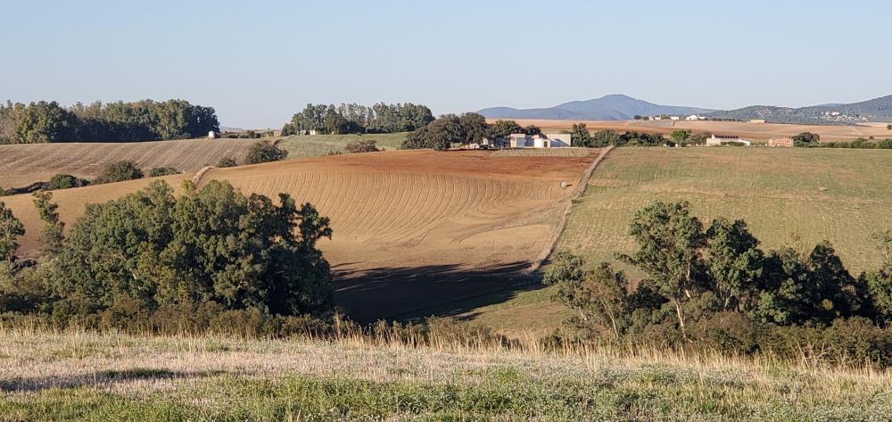  te koop boerderij Arcos De La Frontera Sierra De Cádiz 32